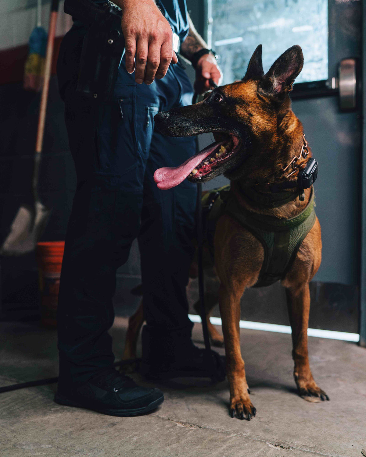 Defender 1 duty boot black being worn while training a service dog 
