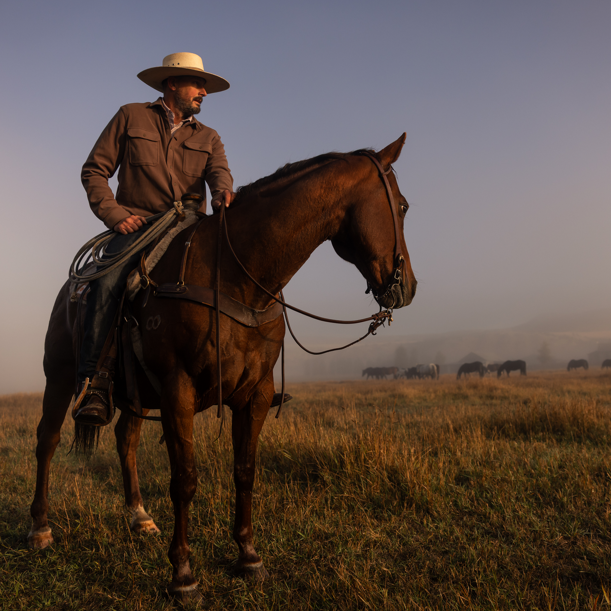 Man on horseback in a field with a sunset or sunrise in the background