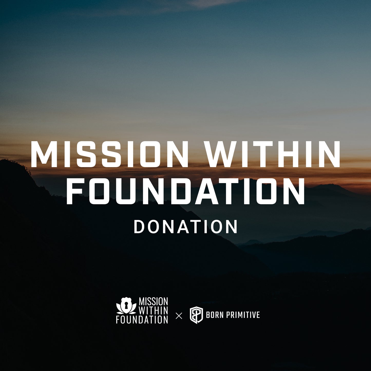 Mission Within Foundation Donation